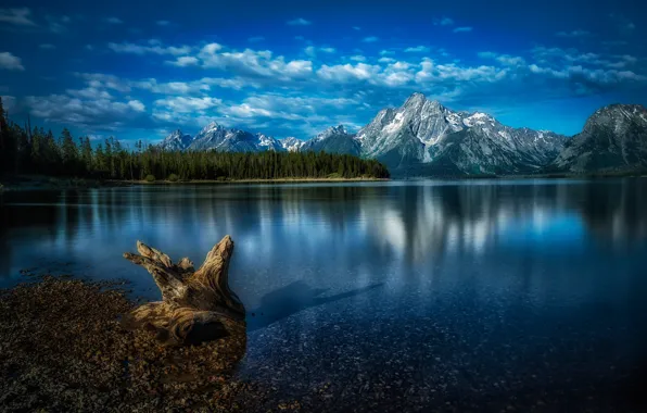 Forest, mountains, lake, Wyoming, snag, Wyoming, Grand Teton National Park, Rocky mountains