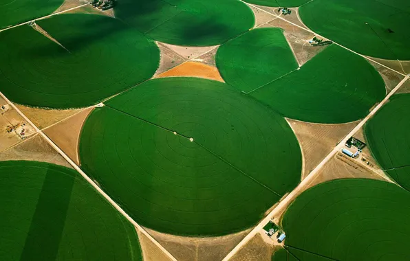 Field, Colorado, USA