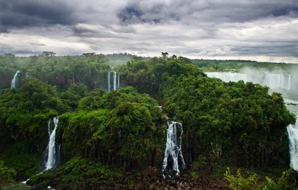Forest, nature, jungle, waterfalls, river, Iguazu