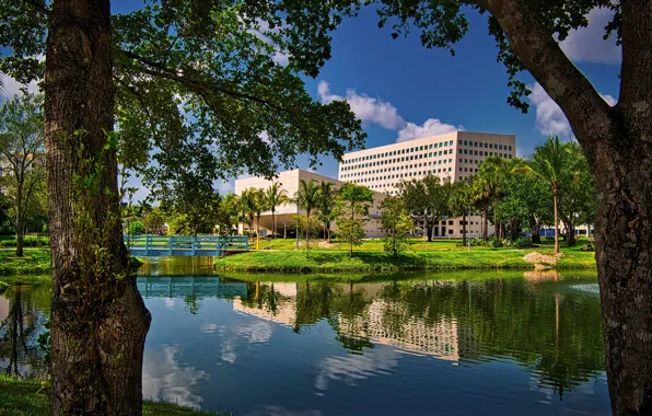 Picture photo, Home, Bridge, The city, Trees, USA, Florida, Water channel