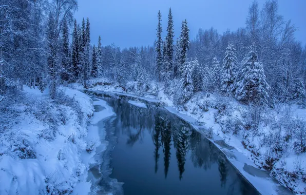 Winter, forest, snow, trees, river, Alaska