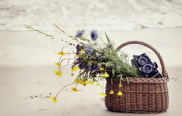Picture sand, sea, flowers, basket, the camera, basket, field, cornflowers