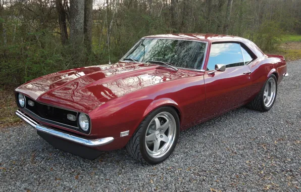 Picture Chevrolet, Camaro, Red, 1968