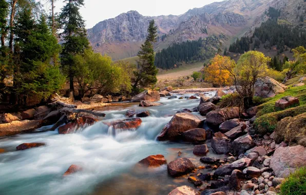 Picture autumn, forest, trees, landscape, mountains, nature, river, stones