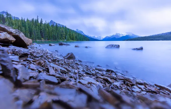 Forest, the sky, trees, mountains, lake, blue, stones, shore