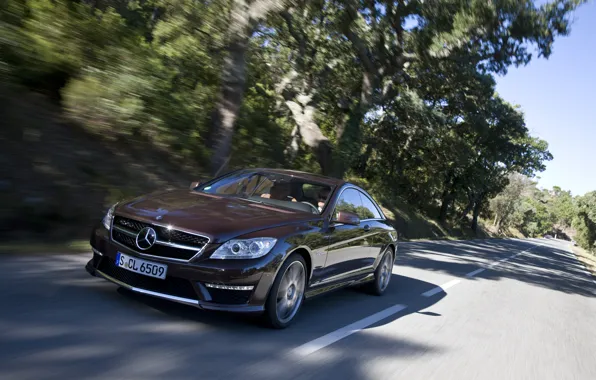 Road, trees, coupe, Mercedes-Benz, Mercedes, the front, Burgundy, CL-class