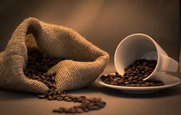Coffee, grain, Cup, bag