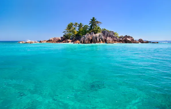 Sea, the sky, palm trees, the ocean, rocks, island, Seychelles