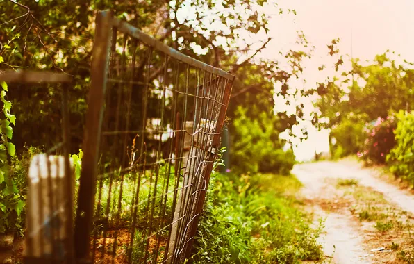 Summer, sunset, the fence, bokeh