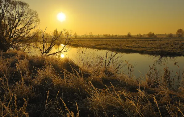 Field, sunset, river