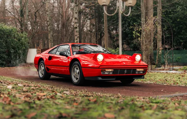Trees, Ferrari, lights, track, Ferrari, sports car, GTB, Turbo