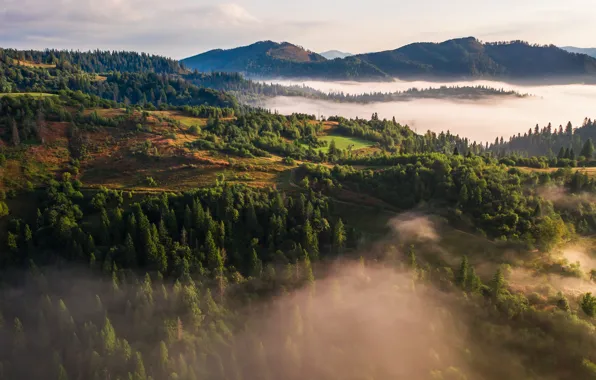 Wallpaper the, morning, mountains, fog, ate, dal, hills, forest