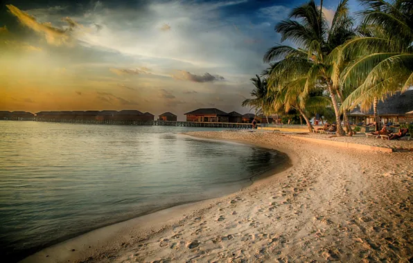 Sea, beach, water, nature, palm trees, beauty