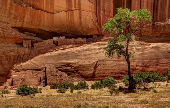 Trees, nature, rocks, figure, canyon, USA, housing