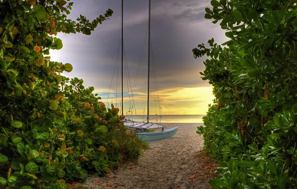 Landscape, shore, the road to the sea