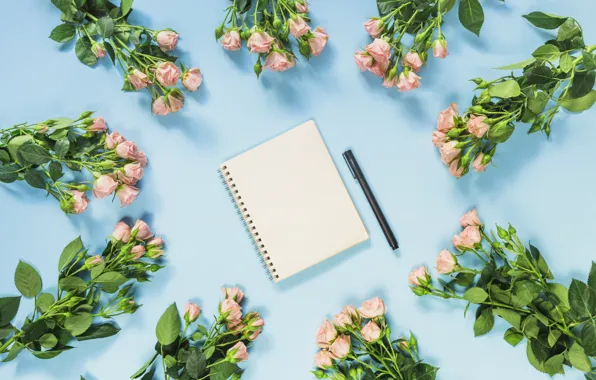 Roses, handle, Notepad, bouquets