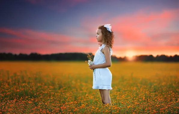 Picture field, summer, sunset, nature, girl