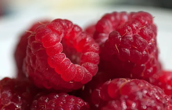 Picture raspberry, food, berry, berry, yummy, red, juicy, sweet