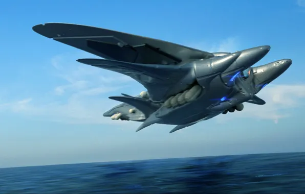 Flight, aircraft, final, mobula