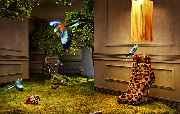 Birds, tree, wall, glamour, Shoes
