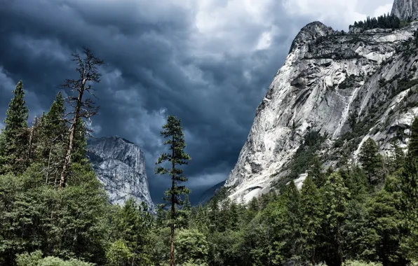 Picture forest, the sky, clouds, trees, mountains, clouds, nature, rocks