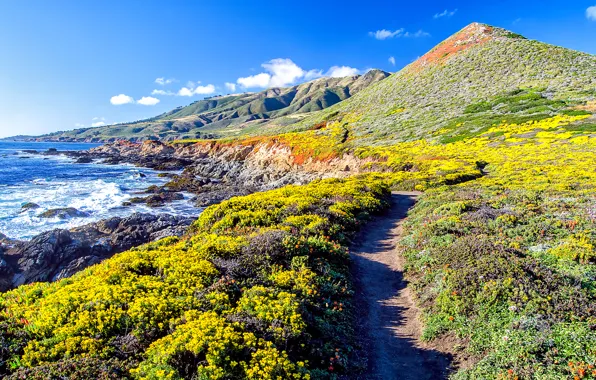 Picture nature, hills, coast, path, The Pacific ocean