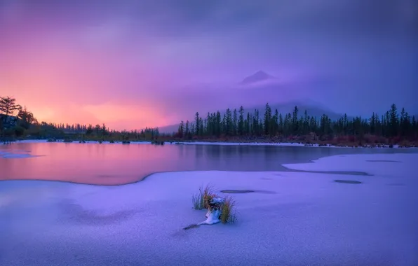 Winter, trees, sunset, mountains, lake, Canada, Albert, Banff National Park