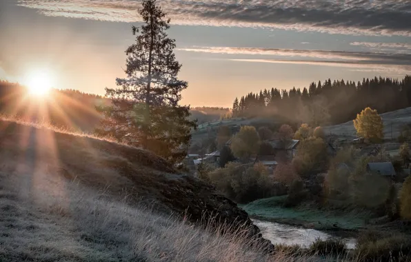 Frost, autumn, the sun, rays, landscape, nature, fog, tree