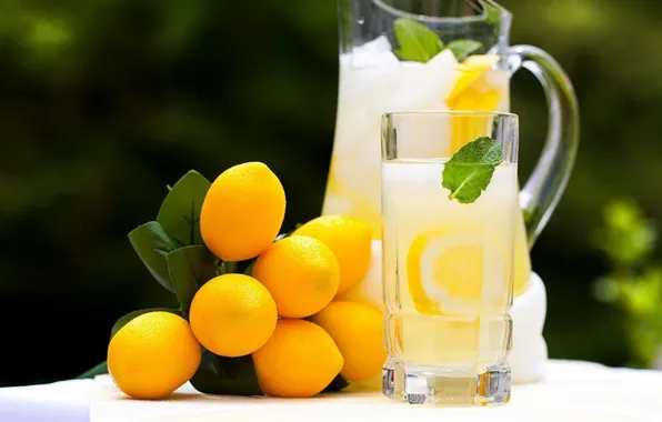 Leaves, glasses, drink, lemons