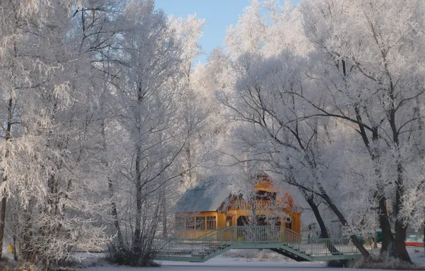 Winter, snow, blue, house