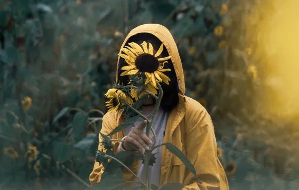 Picture Girl, Alone, Solitude, Mood, Situation, Sunflowers