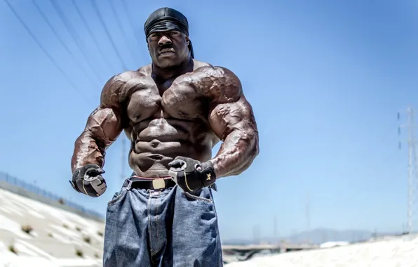 Bodybuilder Posing For Panel Of Senior Judges High-Res Stock Photo - Getty  Images