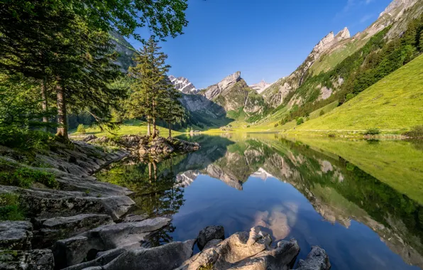 Trees, mountains, lake, reflection, Switzerland, Alps, Switzerland, Alps