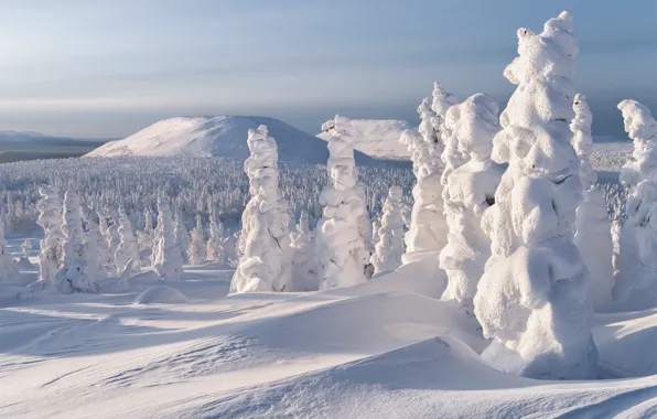 Winter, snow, trees, mountains, the snow, Russia, Northern Urals, Main Ural ridge
