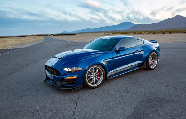 Download wallpaper Ford, Shelby, Blue, Side, Road, Super Snake, Shelby ...