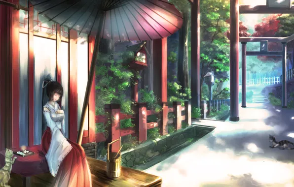 Cat, girl, street, building, food, umbrella, art, kikivi