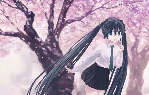 Picture girl, trees, petals, Sakura, art, Hatsune Miku, Vocaloid, Vocaloid