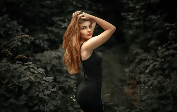 Picture look, girl, nature, pose, model, hair, figure, dress