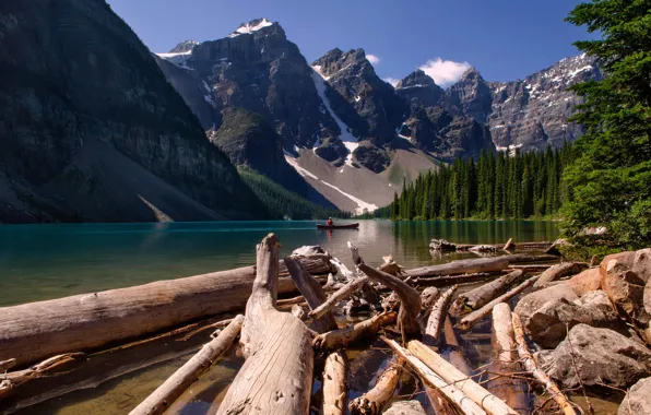 Picture forest, trees, landscape, mountains, nature, river, Canada