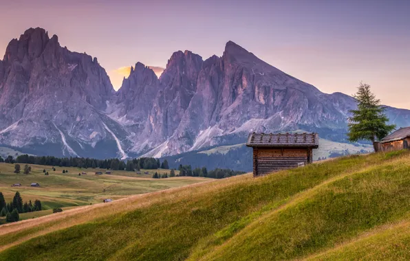 Grass, trees, sunset, mountains, rocks, field, the evening, Alps