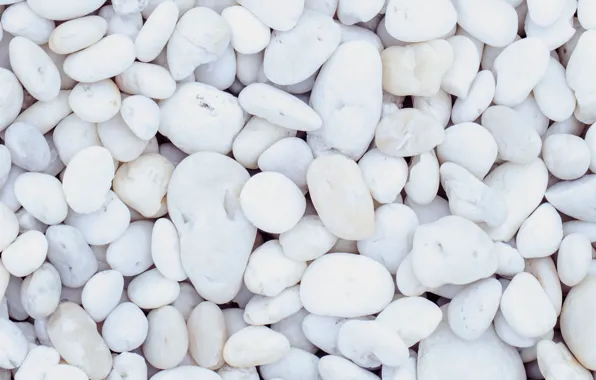 Beach, pebbles, stones, background, white, white, beach, texture