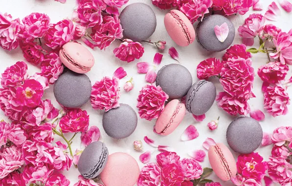 Picture flowers, cookies, almond