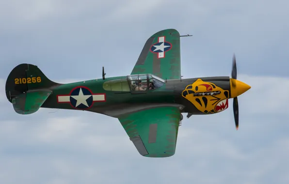 Picture flight, fighter, P-40, Warhawk