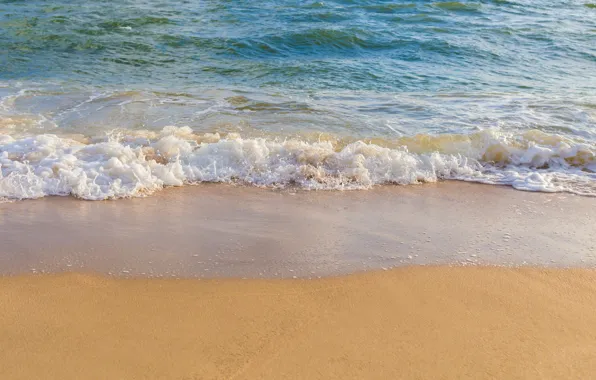 Sand, sea, wave, beach, summer, shore, summer, beach