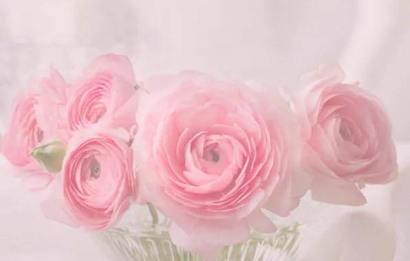 Picture bouquet, vase, Ranunculus