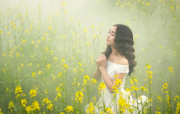 Picture flowers, nature, fog, model, meadow, Asian