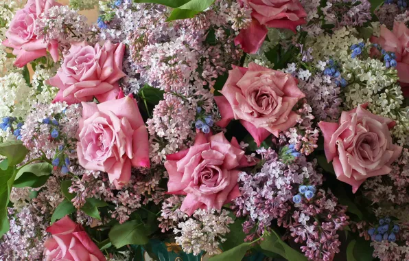 Picture roses, bouquet, lilac, Andrey Morozov