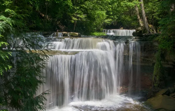 Forest, waterfall, cascade, Ontario, If, Canning