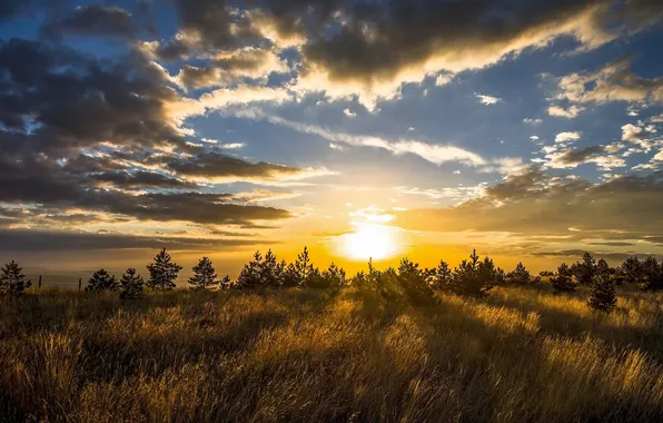 The sky, clouds, landscape, sunset, nature
