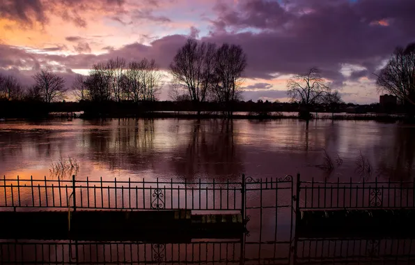 Water, trees, sunset, the fence, the evening, flooding